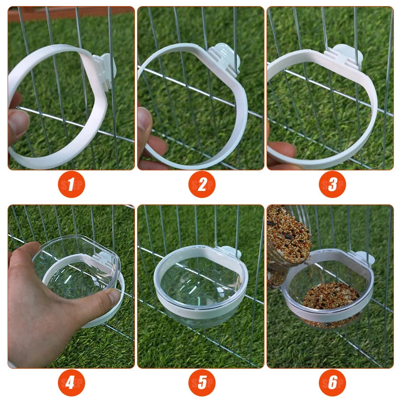 Cuenco de alimentación para aves plástico desmontable y transparente