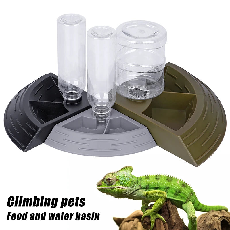 Dispensador automático de comida y agua para reptiles en esquina