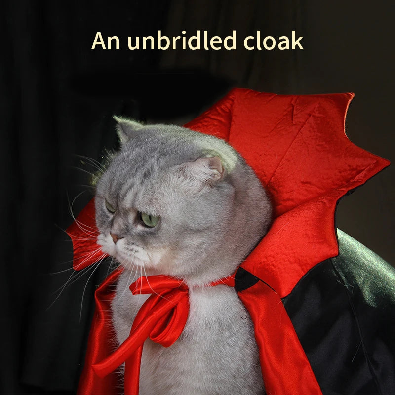 Capa de Fiesta para Gatos – Diseño de Calabaza, Ideal para Otoño e Invierno