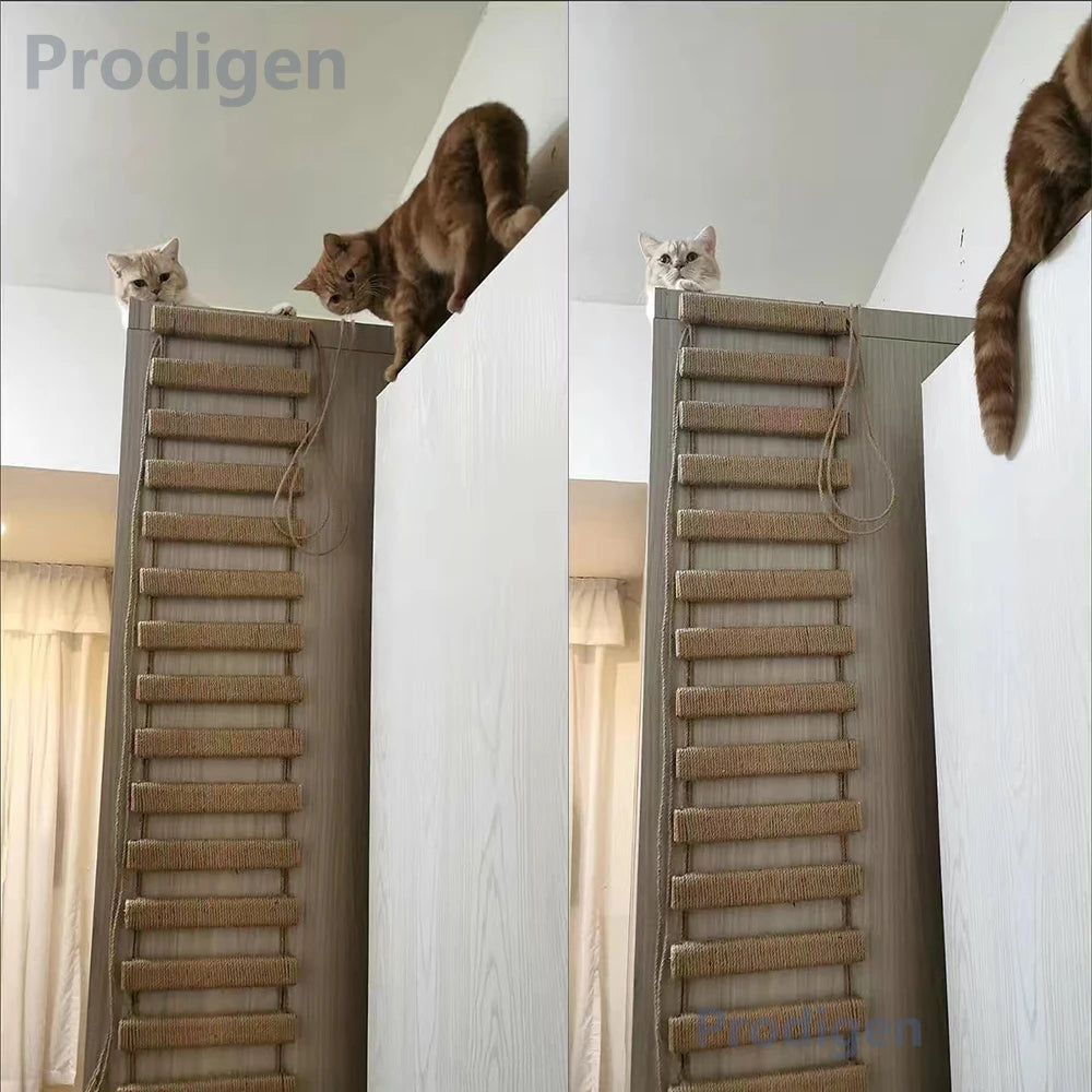 Escalera de araña para gatos de madera con cuerda de sisal y montaje en pared o techo