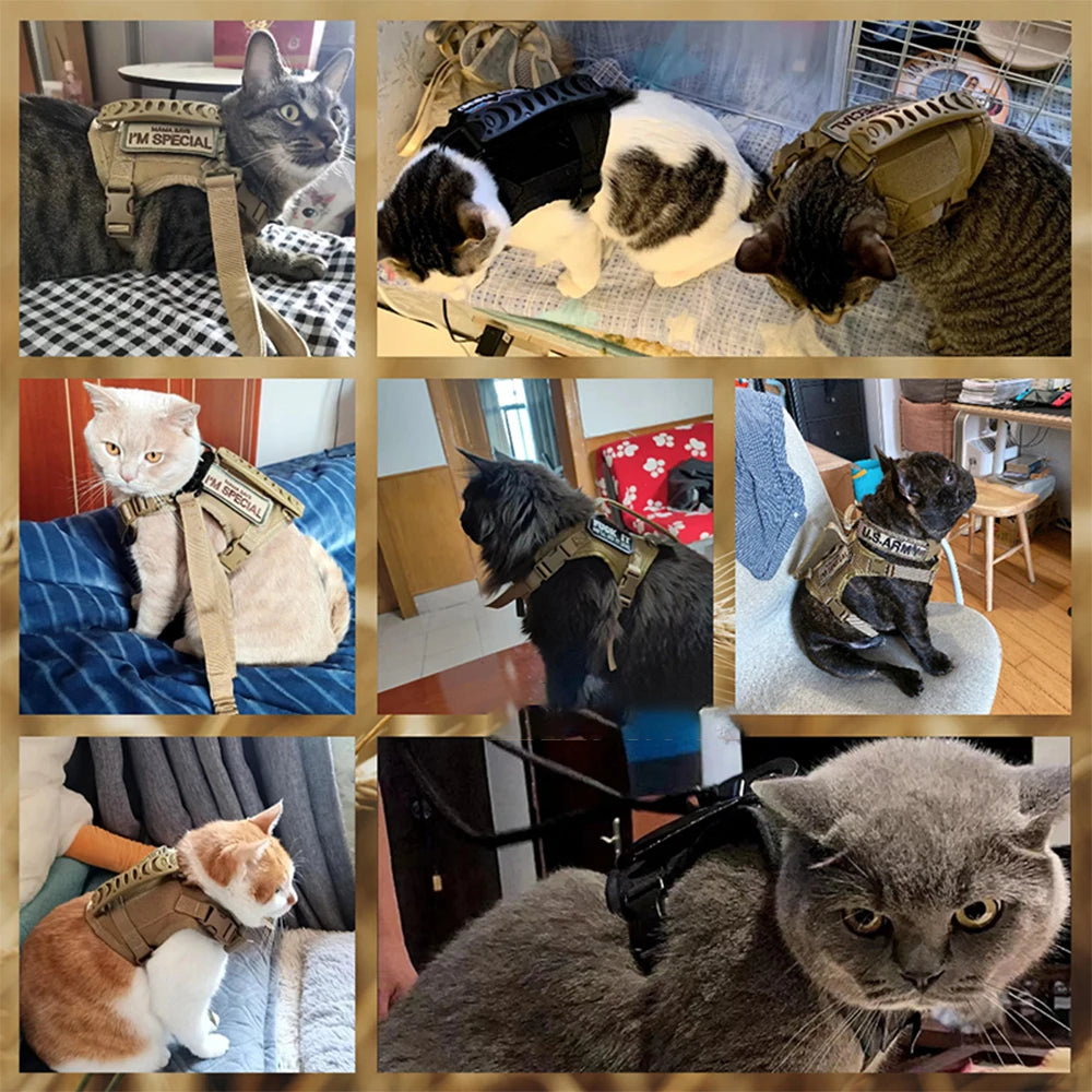 Correa para gatos ajustable con arnés acolchado y manejo fácil