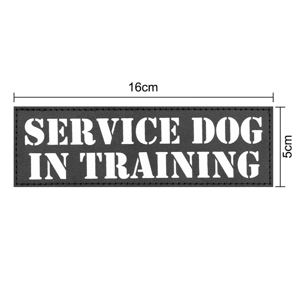 Etiquetas de identificación personalizadas para perros con diseño de letras en nylon