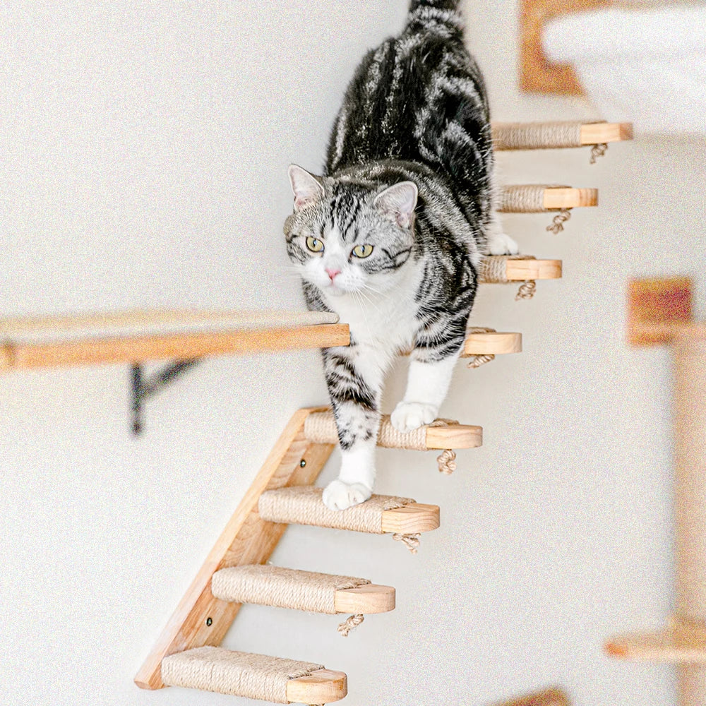 Escaleras de pared para gatos y estanterías de escalada en varias alturas