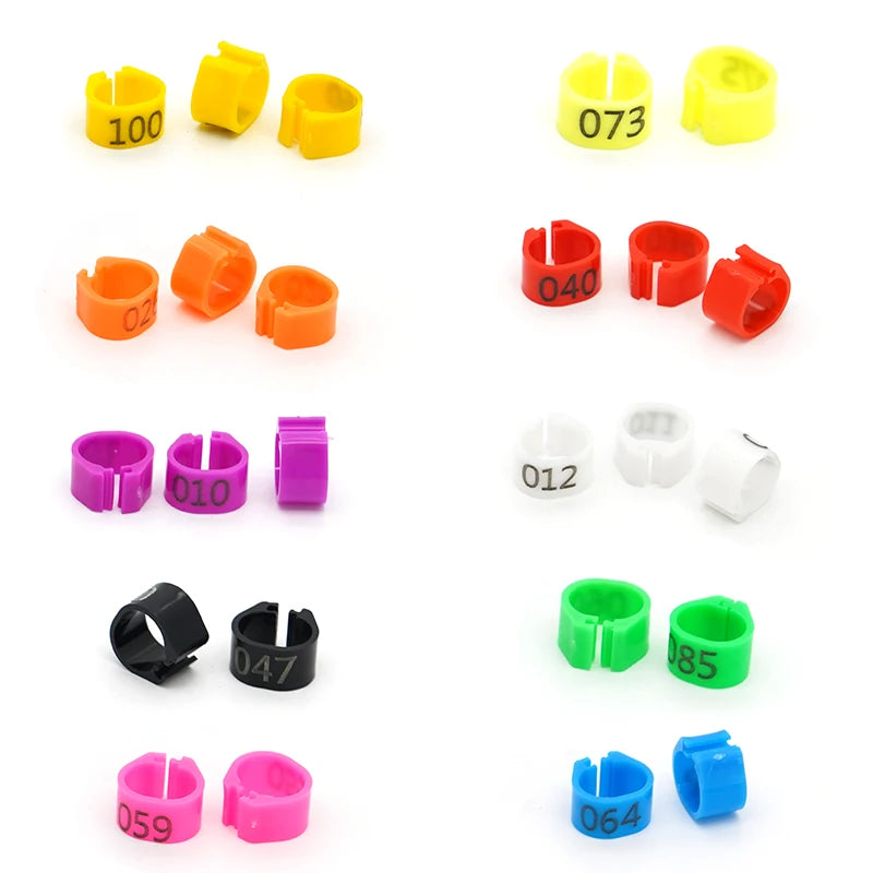 100 Piezas de aros para patas de aves de plástico con palabras para aves y ganado