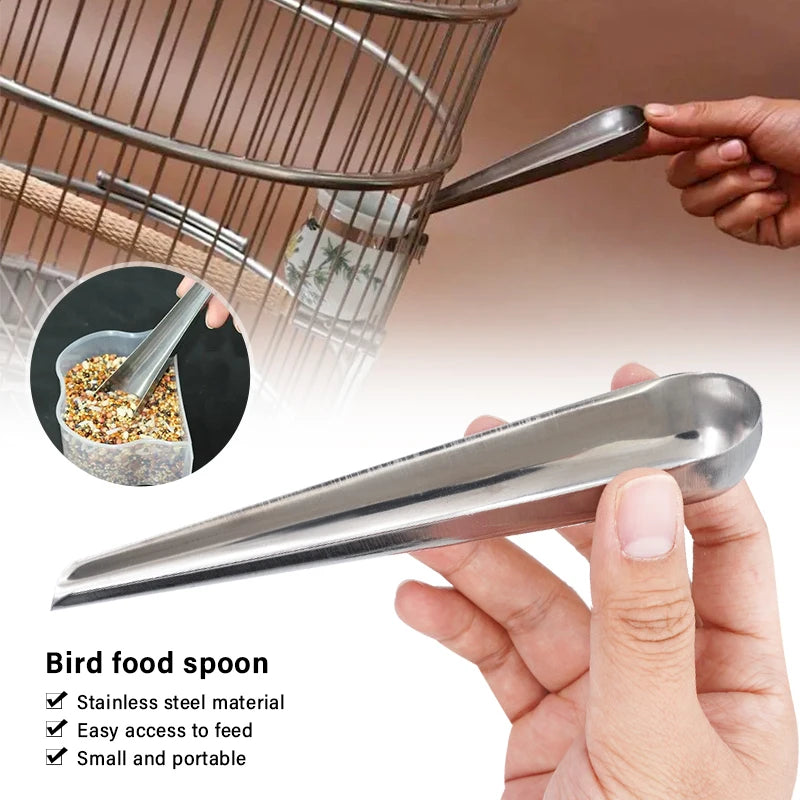 Cuchara alimentadora de acero inoxidable para aves, resistente y ligera