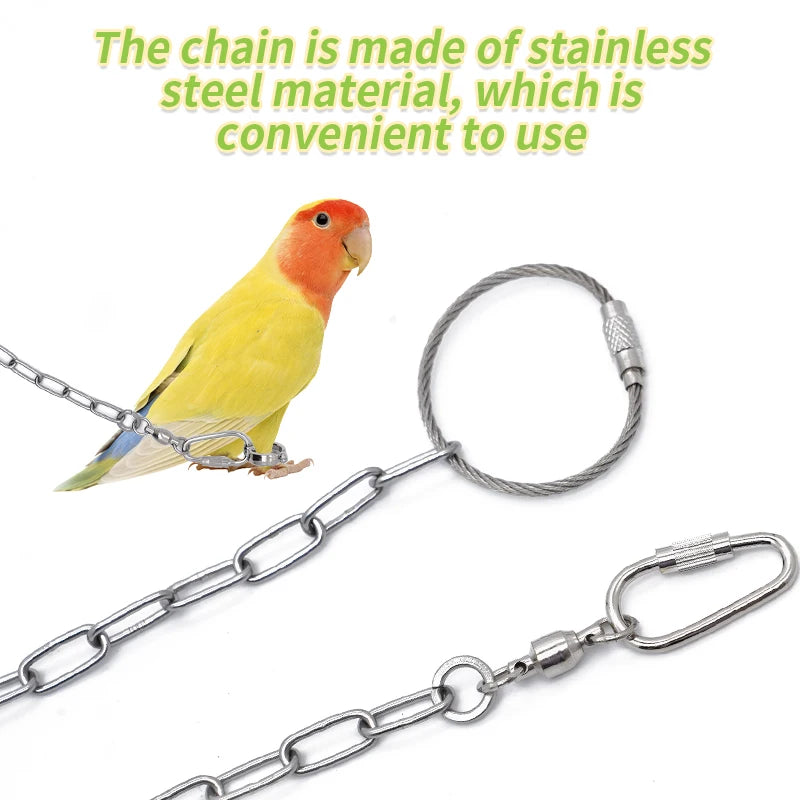 Anillo de pata para aves de acero inoxidable con cadena de seguridad de 50cm