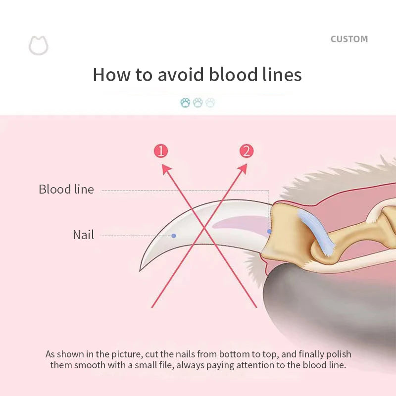 Cortaúñas para Perros y Gatos en Acero Inoxidable – Preciso, Seguro y Ergonómico
