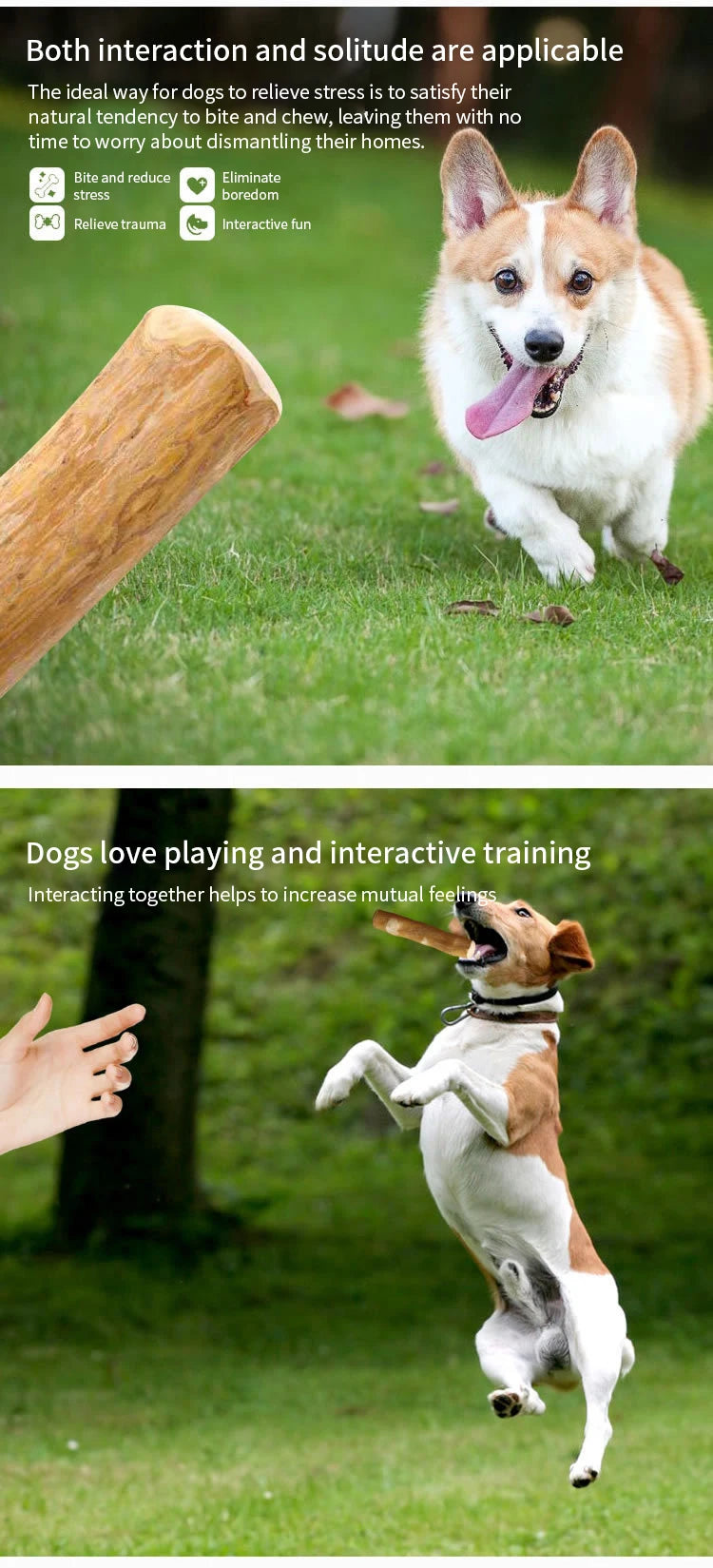 Juguete para Perros de Madera - Mordedor Duradero y Estimulante