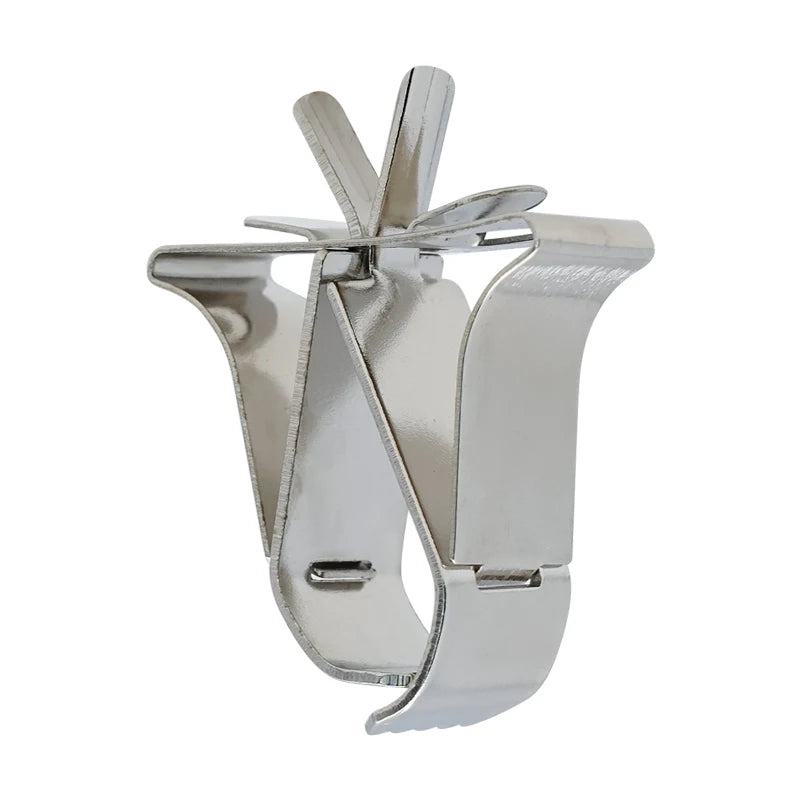 Pinzas de fruta para aves en acero inoxidable y plástico - Kit de clips para alimentación y alimentación segura para loros, aves pequeñas y roedores