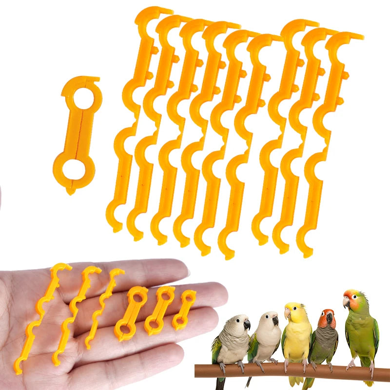 Corrector de pata para aves pequeñas en diferentes tamaños y colores