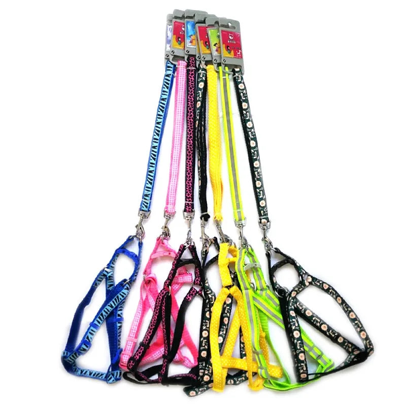 Correa para Perros y Gatos Personalizada en Nylon con Diseño Impreso – Ajustable y Ligera