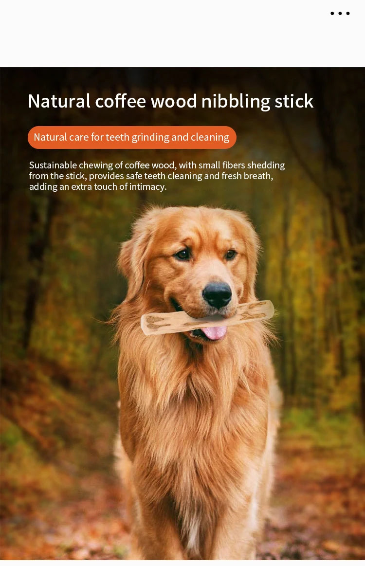 Juguete para Perros de Madera - Mordedor Duradero y Estimulante