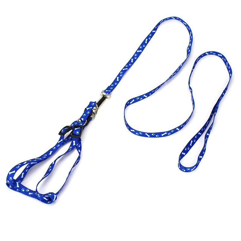 Correa para Perros y Gatos Personalizada en Nylon con Diseño Impreso – Ajustable y Ligera