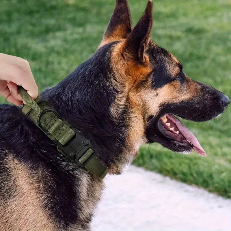 Collar táctico para perros con doble seguridad y ajuste personalizado