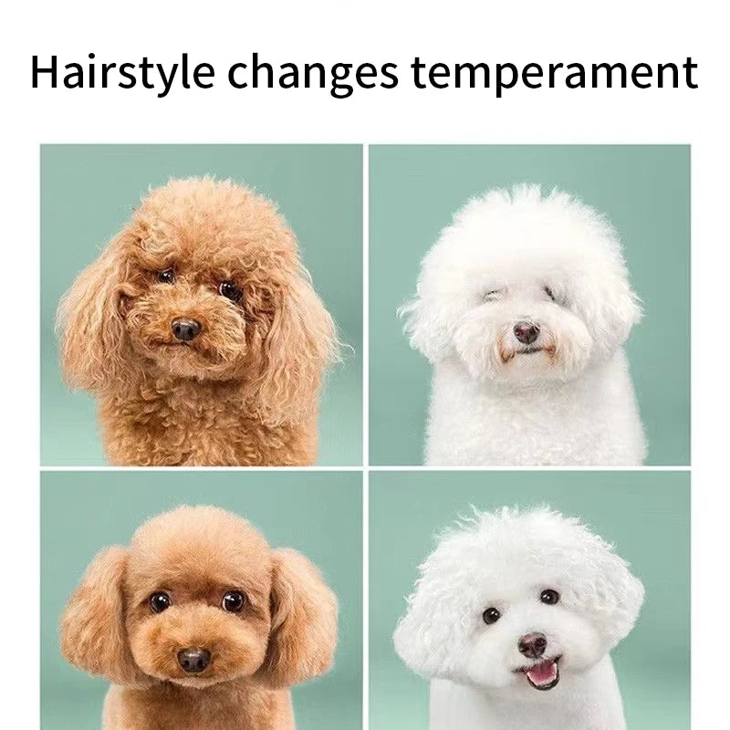 Tijeras multifuncionales para perros en acero inoxidable, corte preciso y duradero