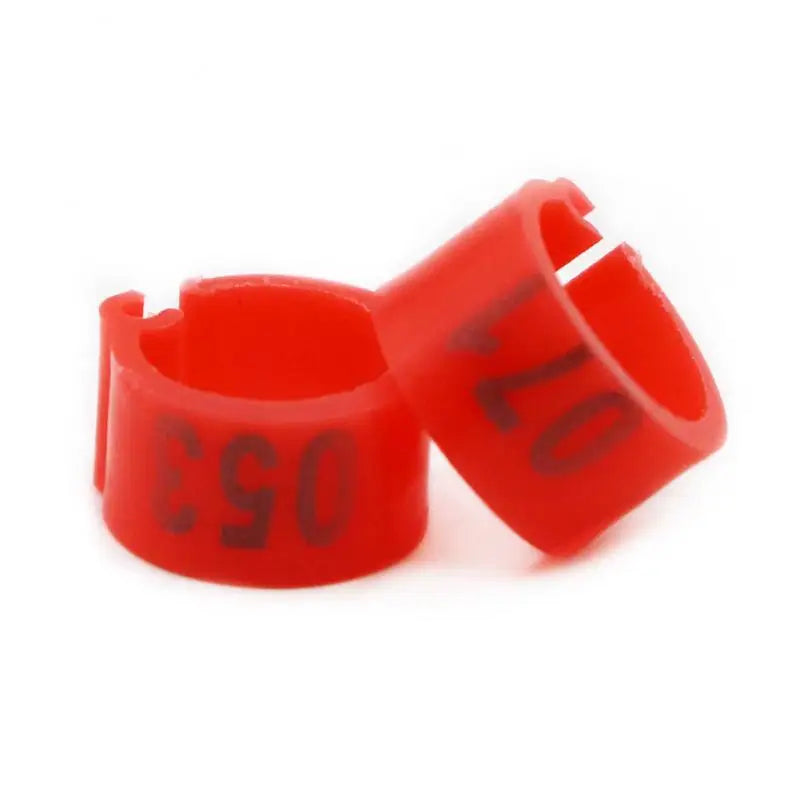 Anillos de pie para aves en diferentes colores, 100 piezas, accesorios de alta calidad para palomas y otras aves de criadero