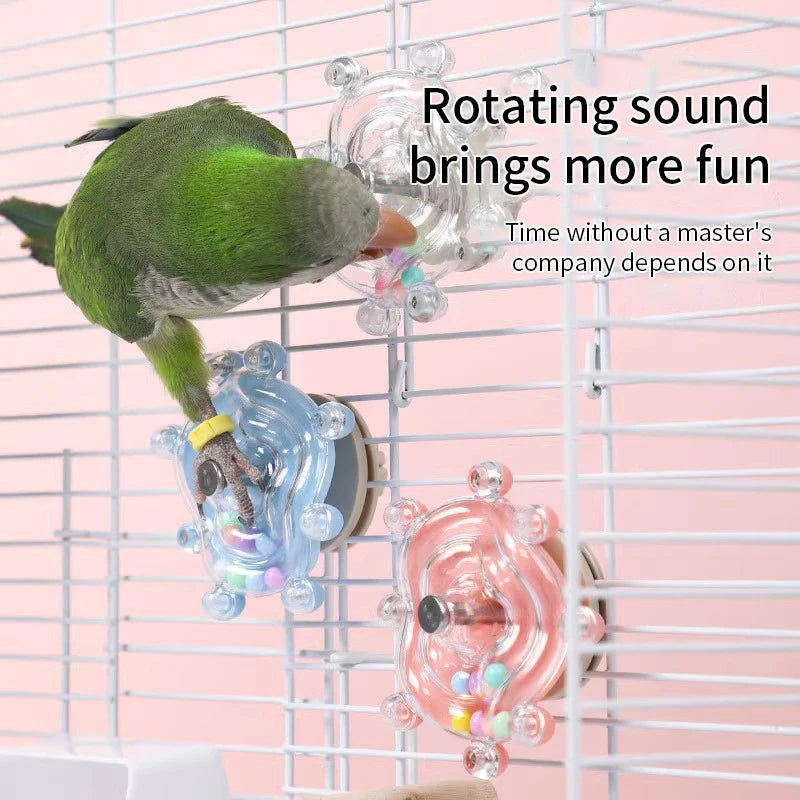 Accesorios para Pájaros – Diversos modelos y diseños para la comodidad y entretenimiento de tus aves