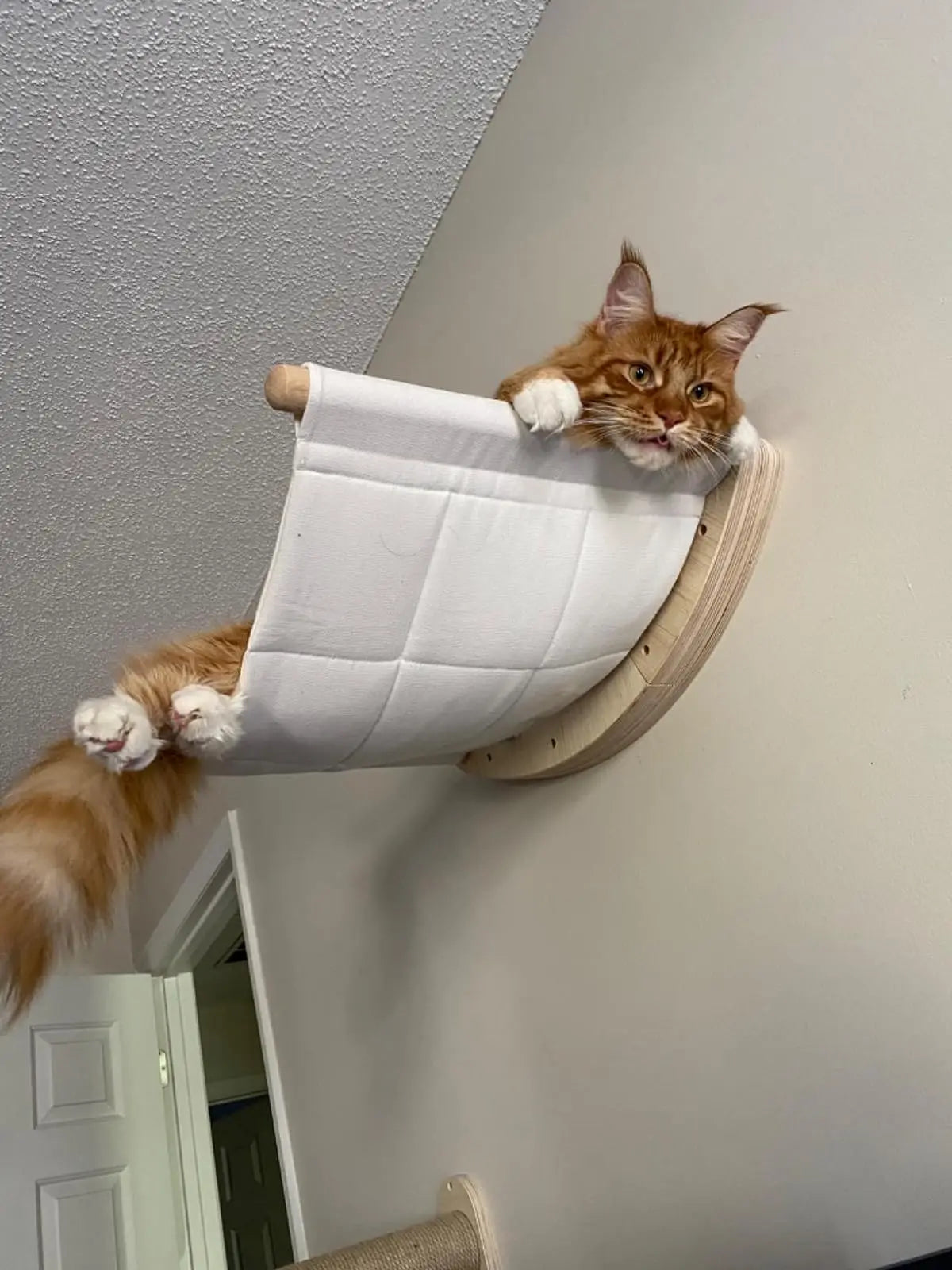 Hamaca de pared para gatos y árbol de un solo nivel en madera