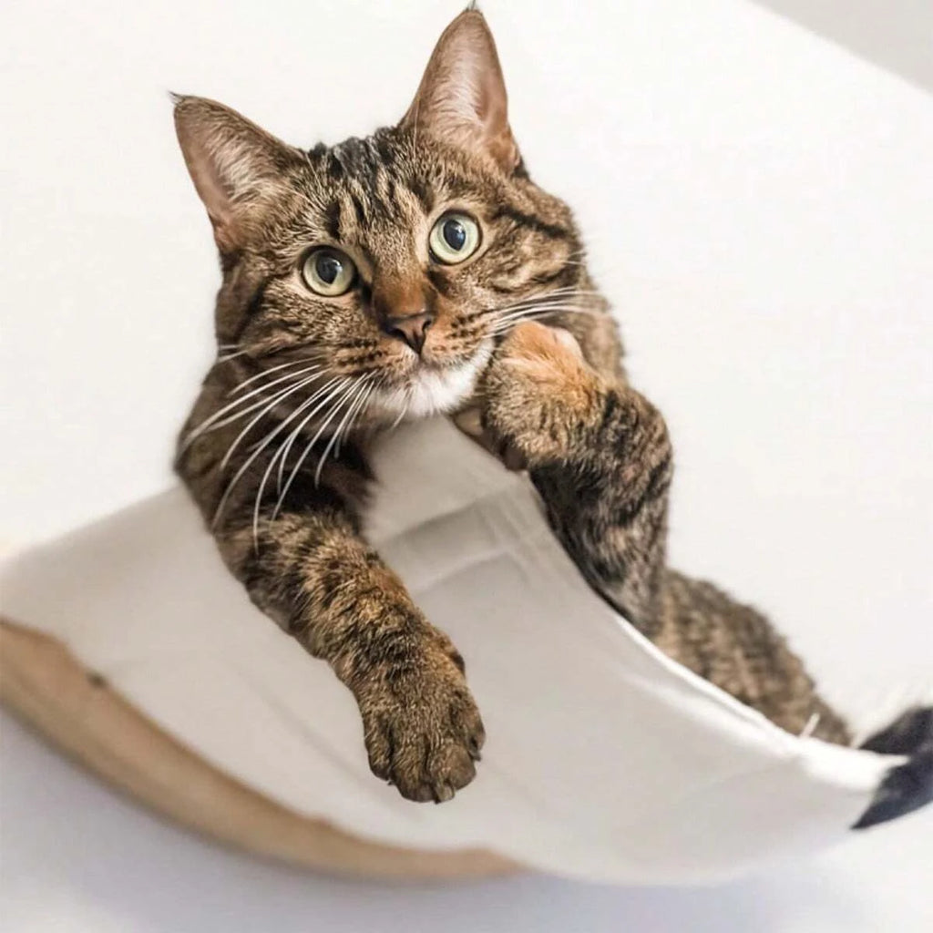 Cama de colgante para gatos con soporte de madera para descansar y observar