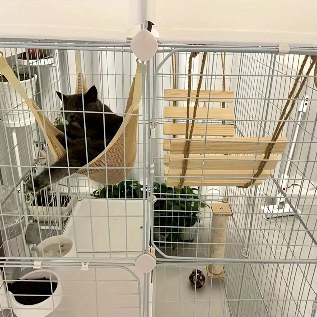 Arnés de escalada para gatos en madera natural con puente y árbol de un solo nivel