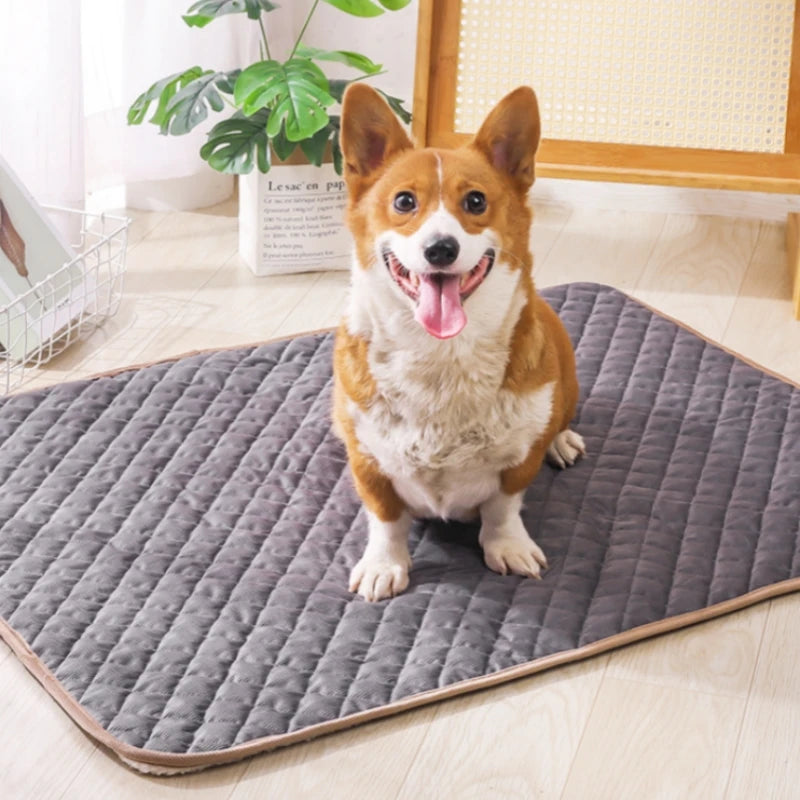 Alfombra-Cama para Perros BPEDT – Suave, Transpirable y Fácil de Limpiar