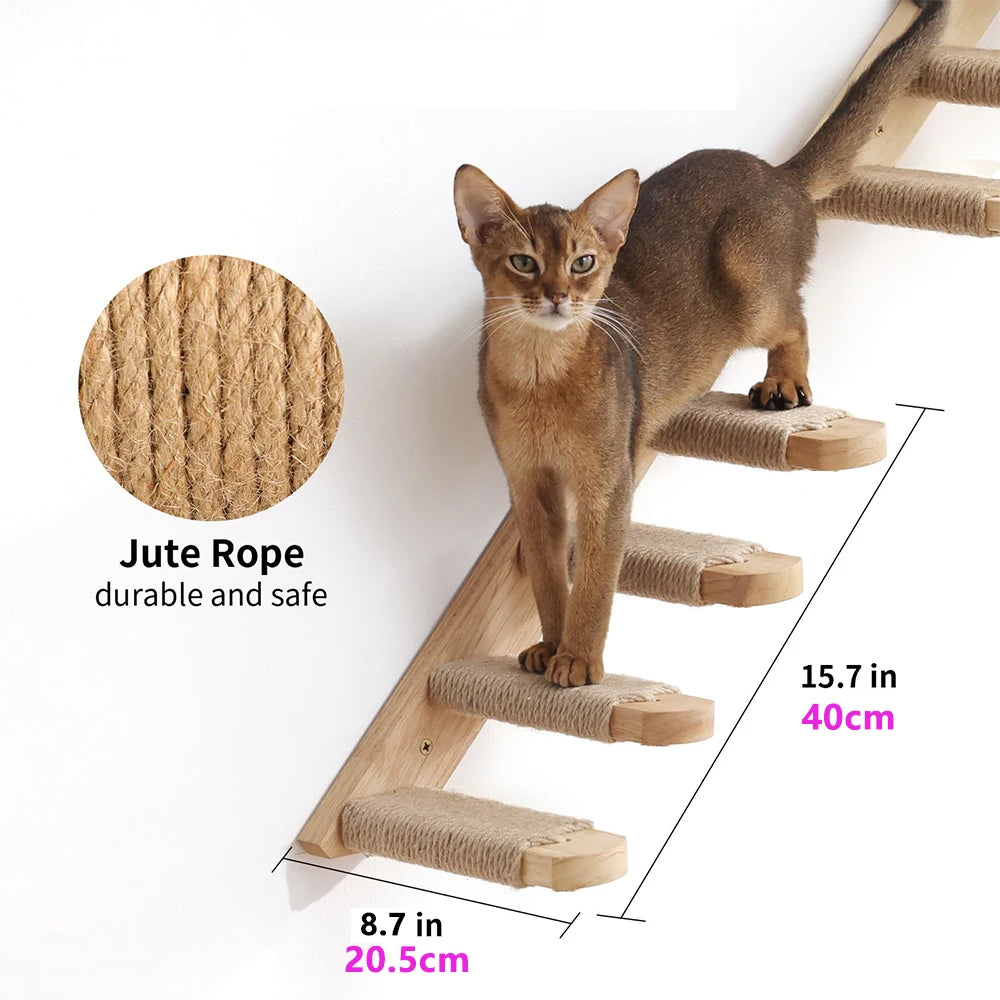Escaleras de pared para gatos y estanterías de escalada en varias alturas