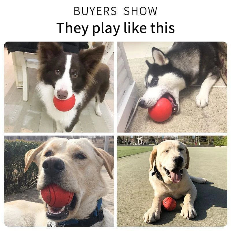 Pelota de Goma para Perros - Duradera, Segura y Divertida