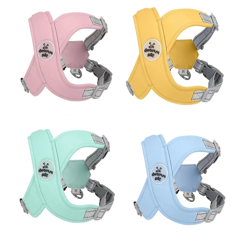 Conjunto de Arnés y Correa para Perros - Duradero, Personalizable y para Todas las Estaciones