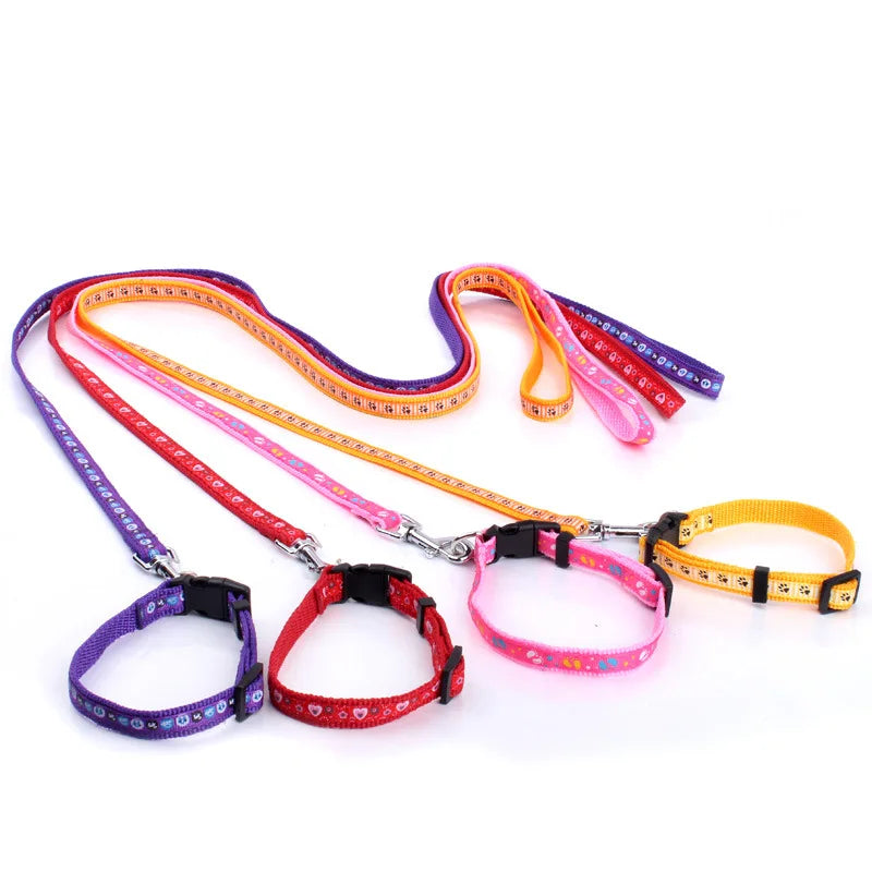 Correa para Perros y Gatos Personalizada en Nylon con Diseño Impreso – Ajustable y Ligera