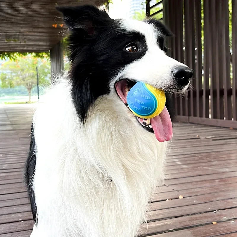 Pelota de Juguete para Perros en TPR - Resistente, Segura y Divertida