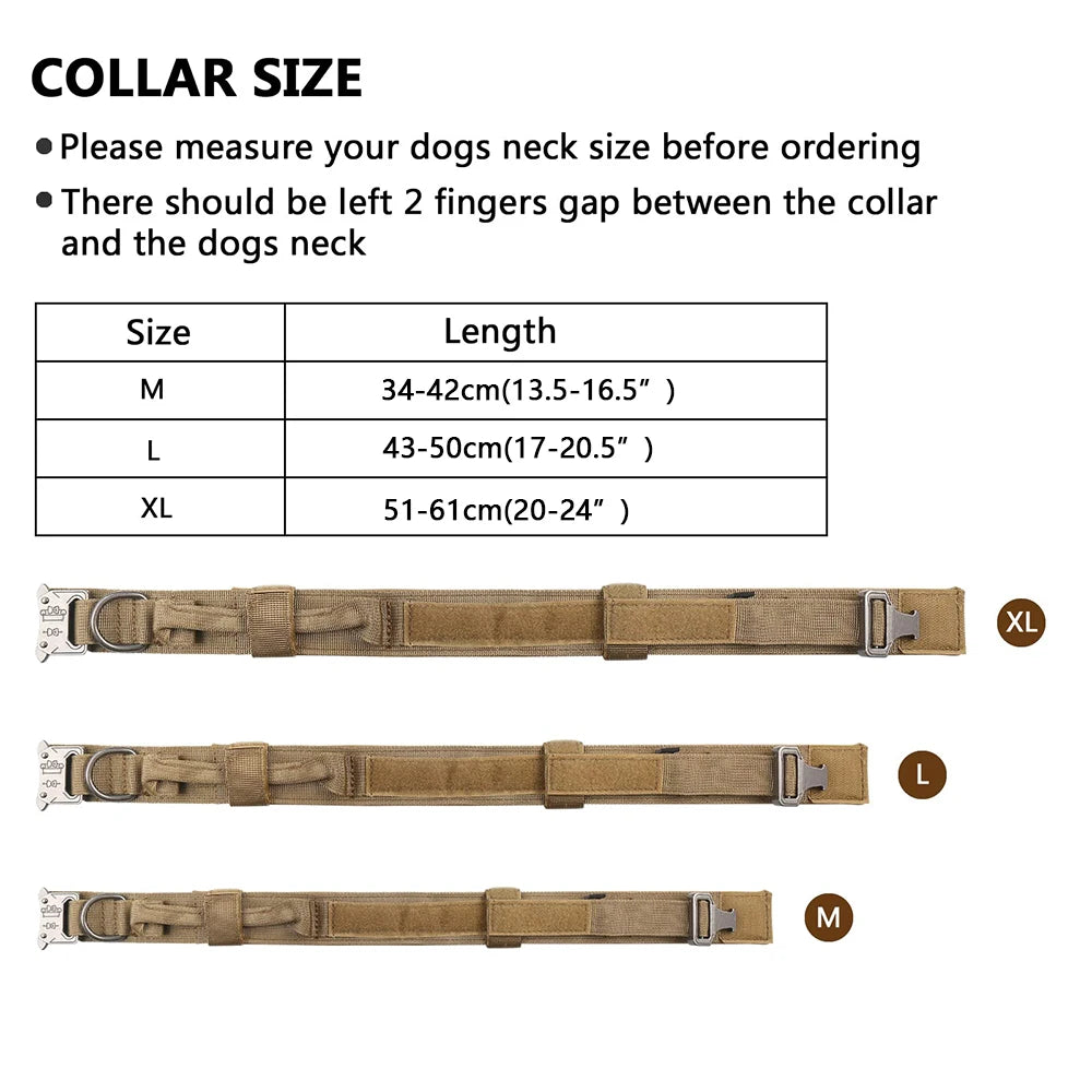 Set de collar y correa para perros con cierre de hebilla y diseño impreso