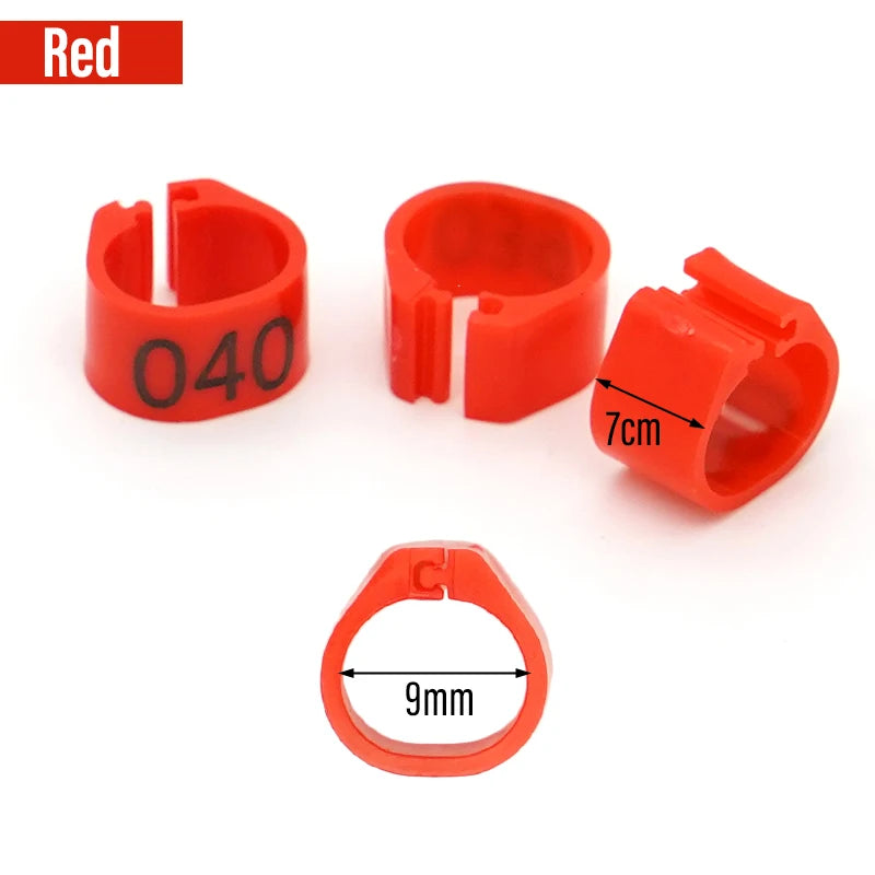 100 Piezas de aros para patas de aves de plástico con palabras para aves y ganado