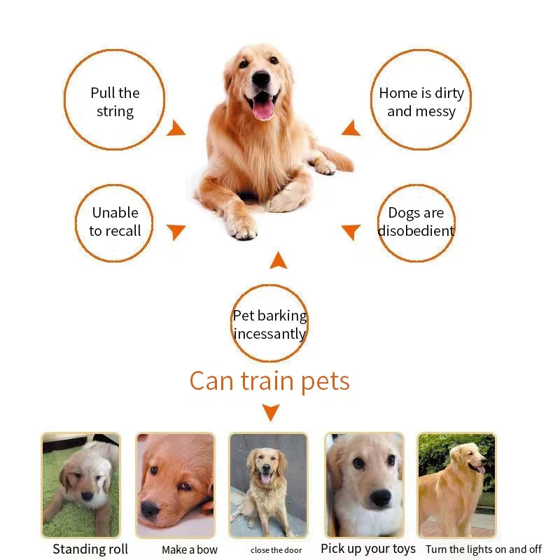 Clicker de Entrenamiento para Perros - Diseño Ergonómico y de Alta Calidad