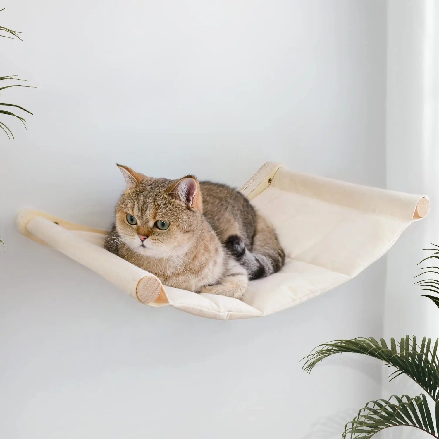 Cama de colgante para gatos con soporte de madera para descansar y observar