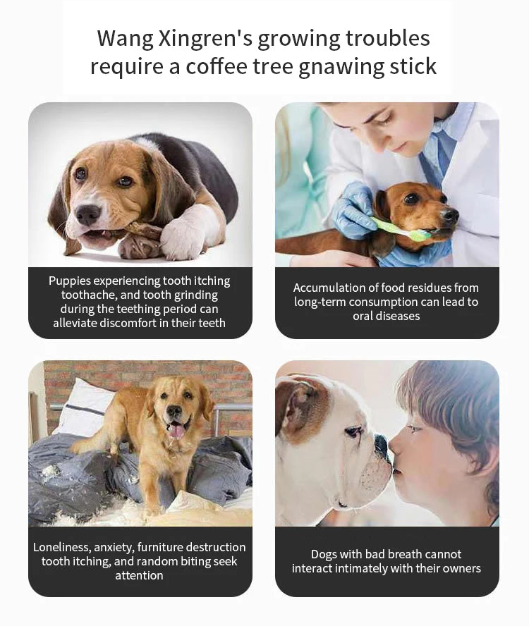 Juguete para Perros de Madera - Mordedor Duradero y Estimulante