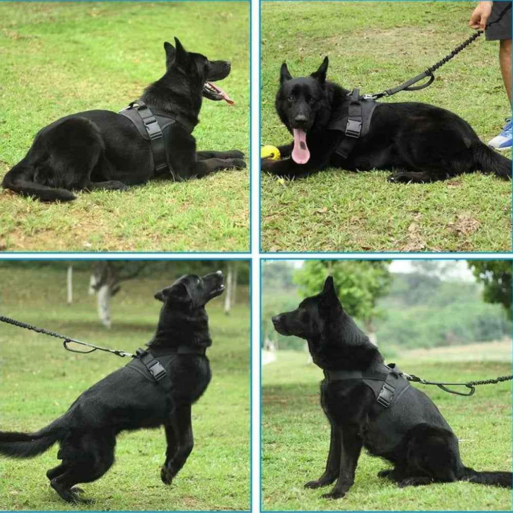 Arnés táctico ajustable para perros en material resistente y cómodo
