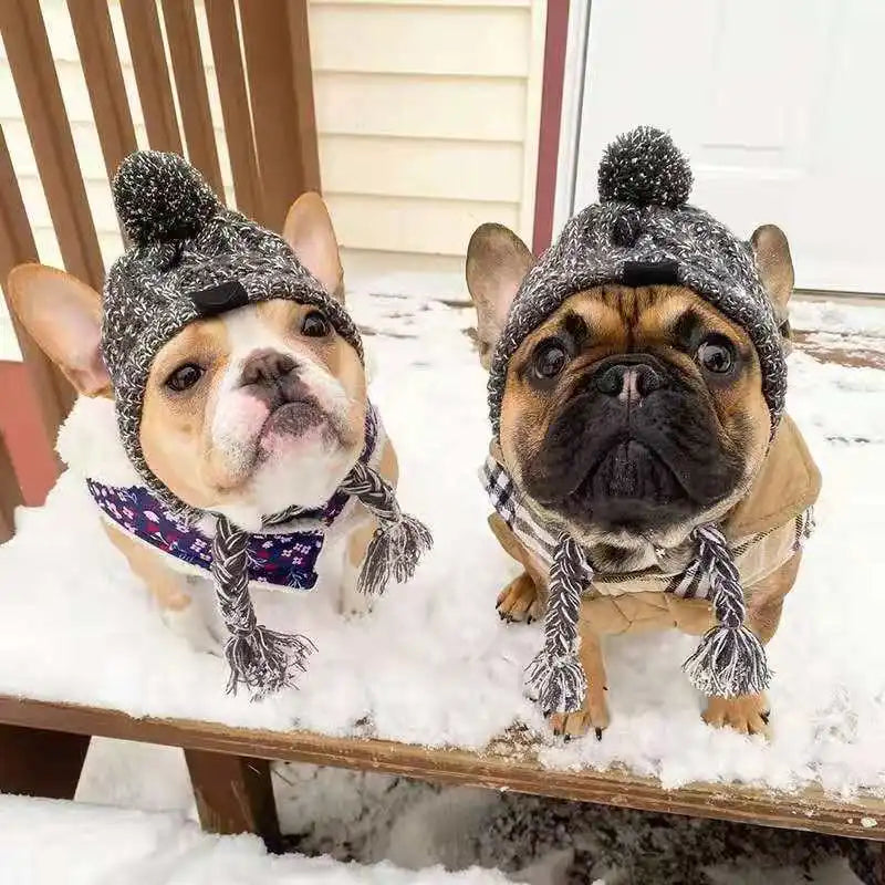 Gorro de Navidad para Perros en Color Gris - Acolchado, Tacto Suave y Diseño Con Estilo