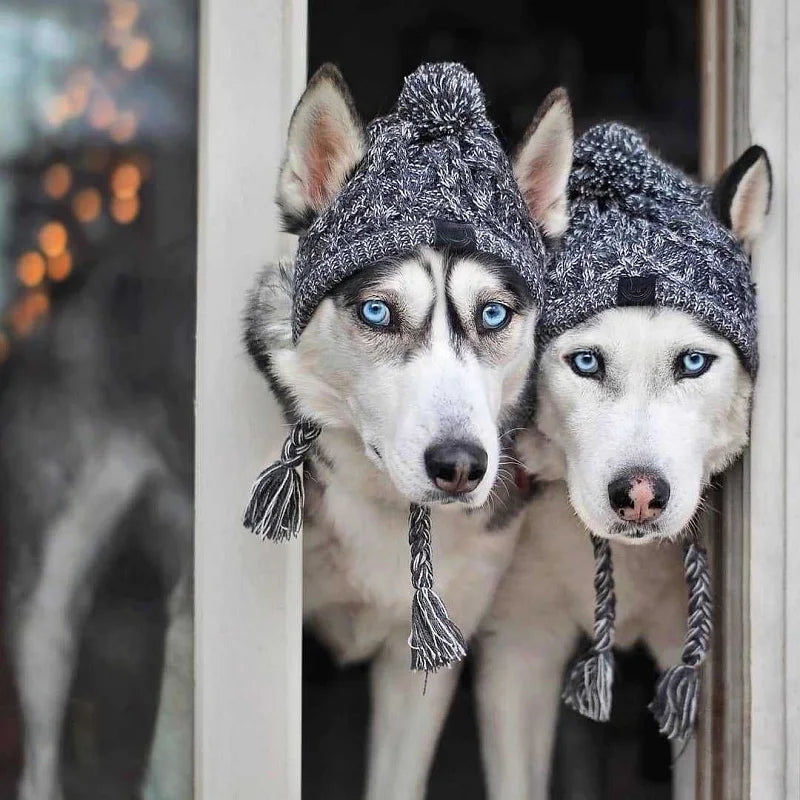 Gorro de Navidad para Perros en Color Gris - Acolchado, Tacto Suave y Diseño Con Estilo