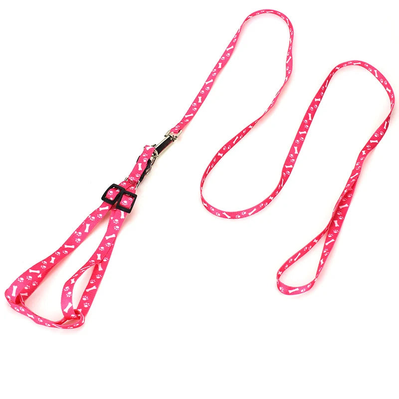 Correa para Perros y Gatos Personalizada en Nylon con Diseño Impreso – Ajustable y Ligera