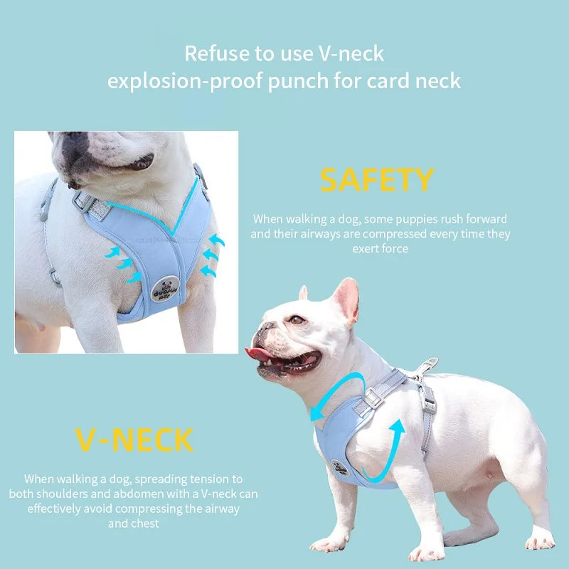 Conjunto de Arnés y Correa para Perros - Duradero, Personalizable y para Todas las Estaciones