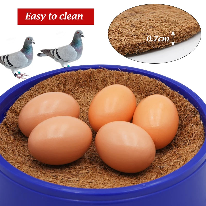 Nido para aves y huevos de paloma con base de césped y material duradero