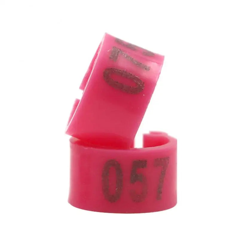 Anillos de pie para aves en diferentes colores, 100 piezas, accesorios de alta calidad para palomas y otras aves de criadero