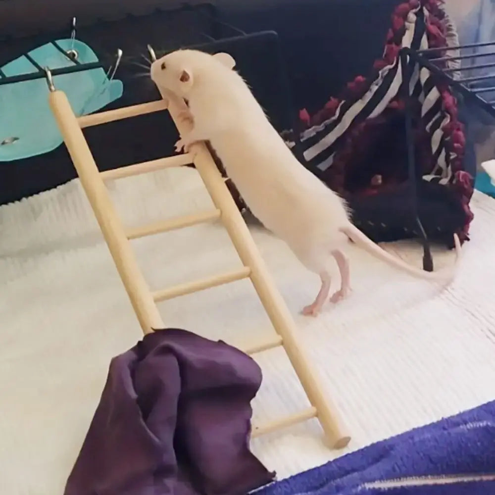 Escalera de madera para aves, resistente y fácil de instalar en la jaula