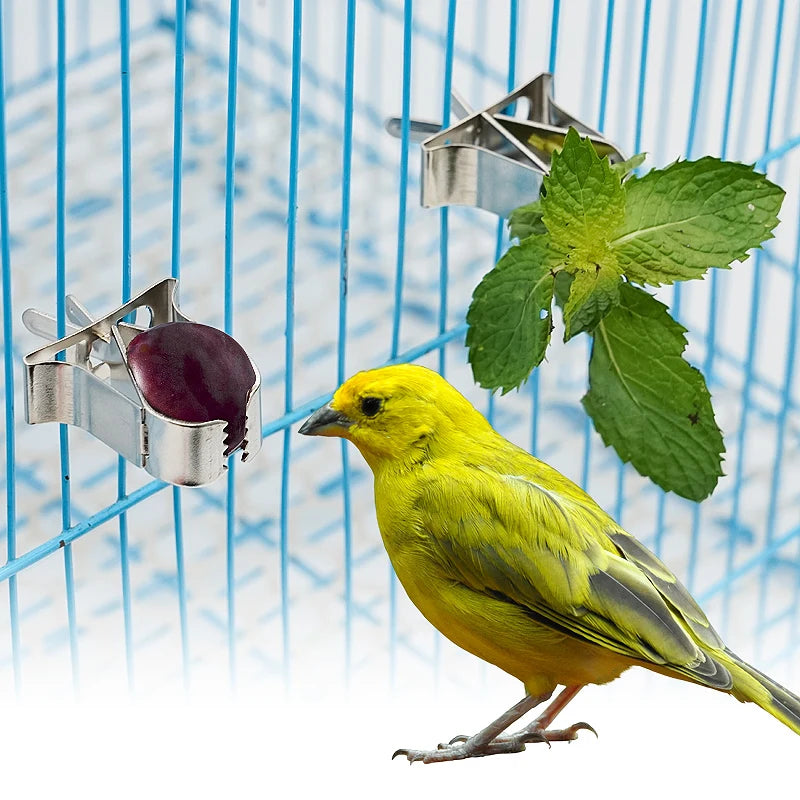Pinzas de fruta para aves en acero inoxidable y plástico - Kit de clips para alimentación y alimentación segura para loros, aves pequeñas y roedores