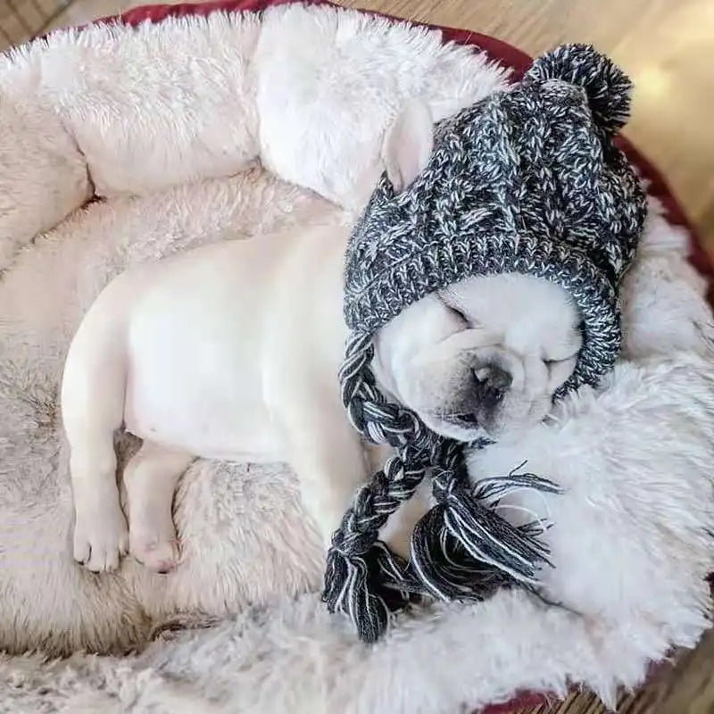 Gorro de Navidad para Perros en Color Gris - Acolchado, Tacto Suave y Diseño Con Estilo