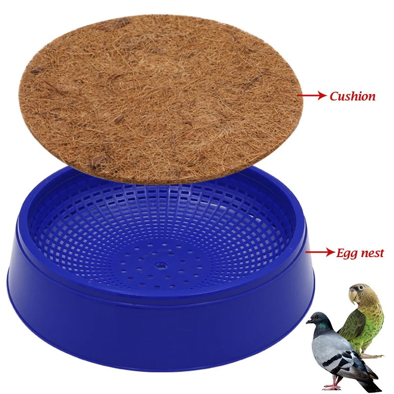 Nido para aves y huevos de paloma con base de césped y material duradero