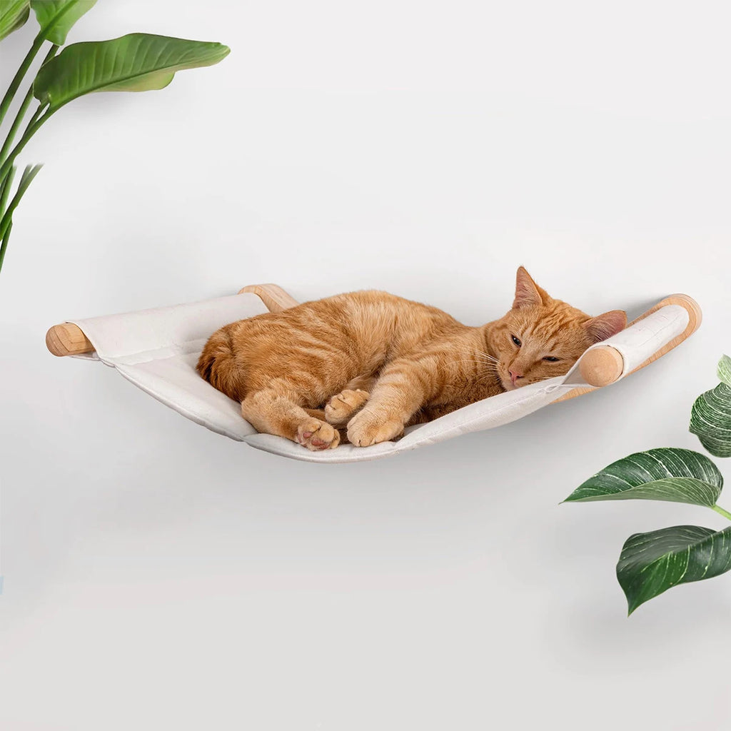 Estanterías modernas para gatos con diseño en madera y seguridad garantizada
