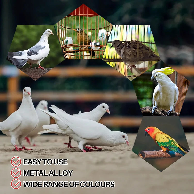 10 Piezas de anillos de pies de aluminio para aves con diámetro variado