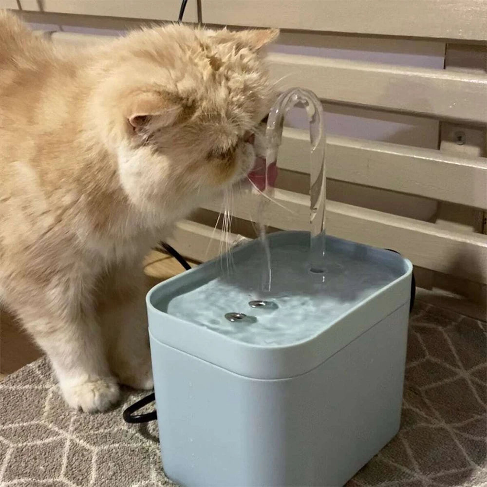 Dispensador de agua automático para gatos con sistema de filtración y gran capacidad