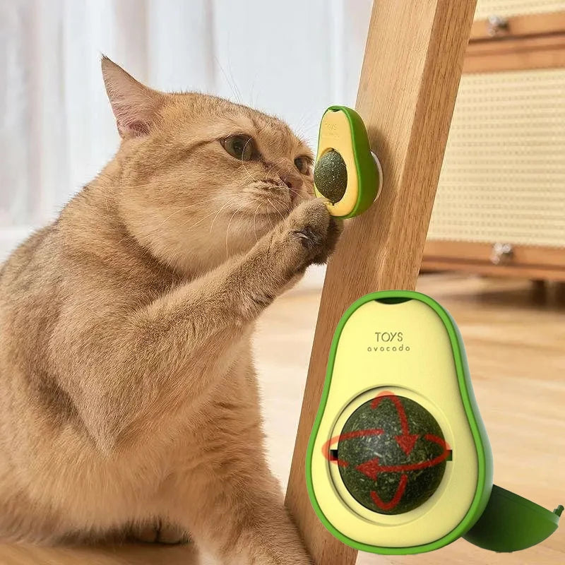 Juguete interactivo para gatos de plástico - Estimula y entretiene